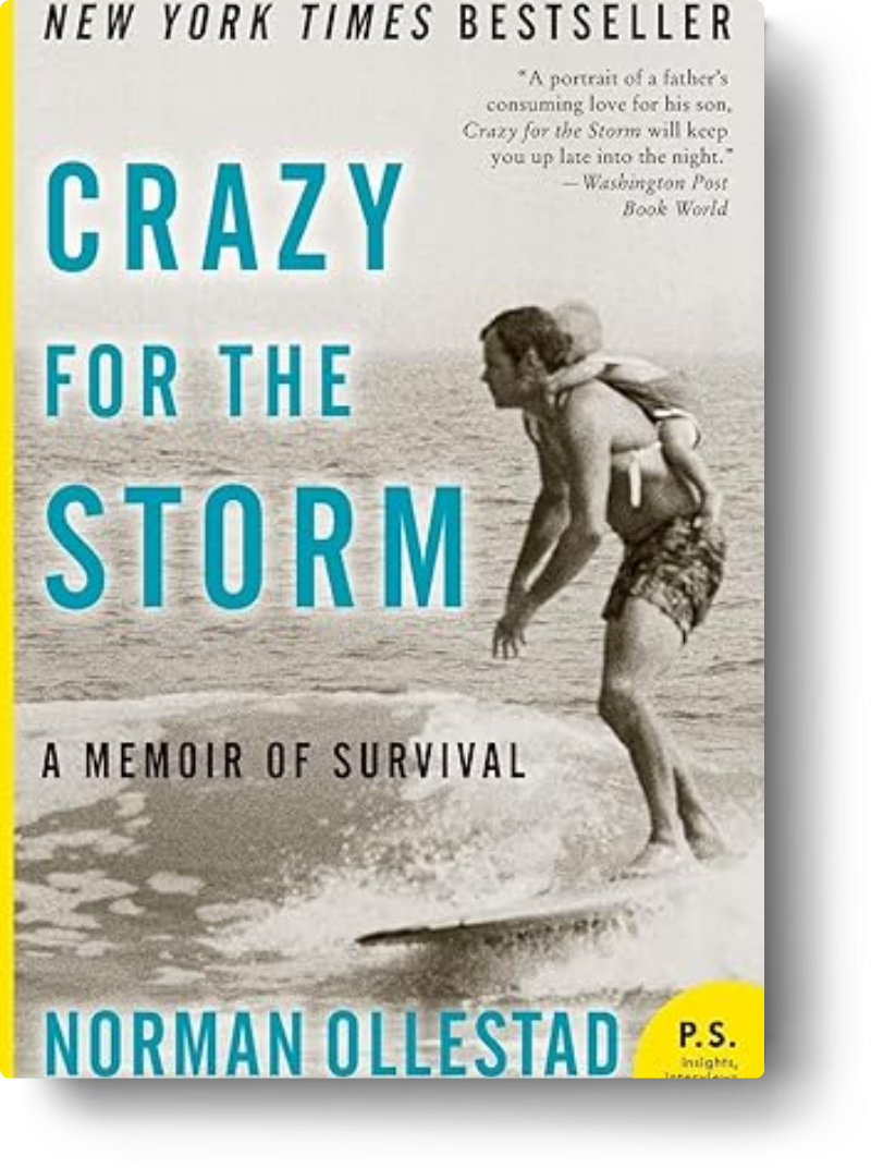 crazy for the storm img