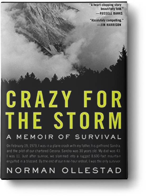 Crazy for the Storm