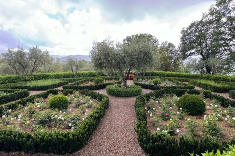 Peaceful Italian garden with flowers and olive trees at Tuscany writers retreat