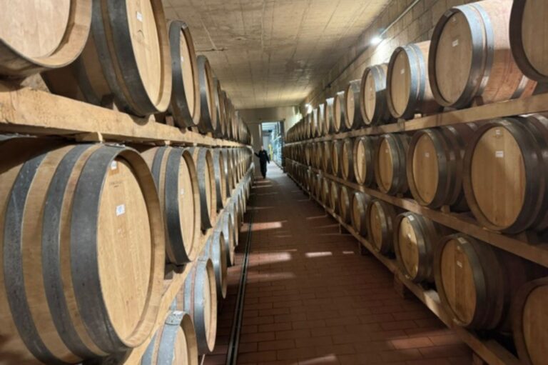 Aging wine barrels lined up in a Tuscan wine cellar near writers retreat villa