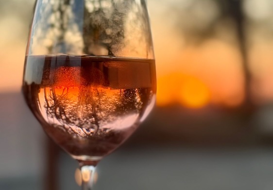 sunset wine tree